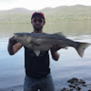 Meet your Posher, George